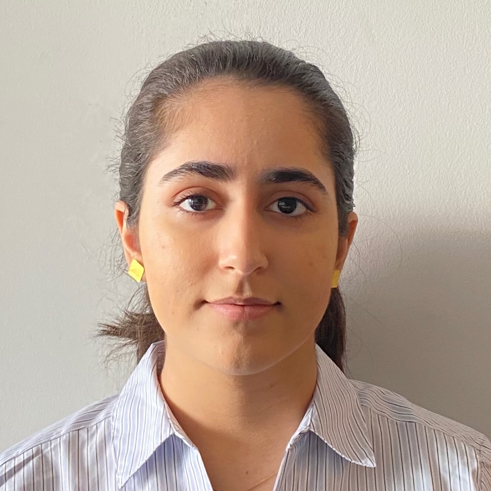 Kimia private tutor from newmarket canada 40 hr